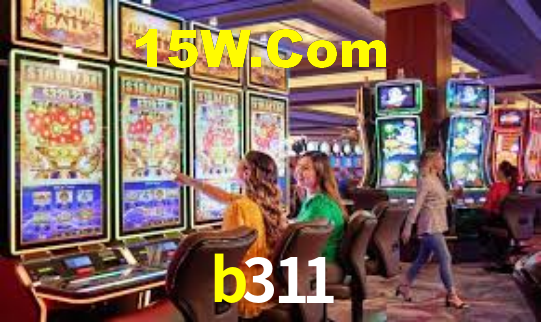 b311 App Interface