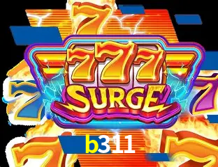 Flash Promotion b311